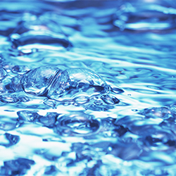 Acquatica