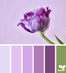 Contrastanti