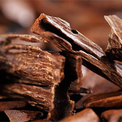 Legnoso