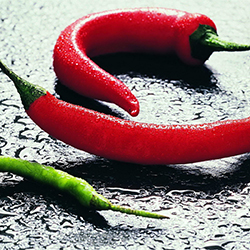 Piccante