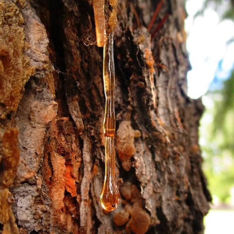 Amberwood