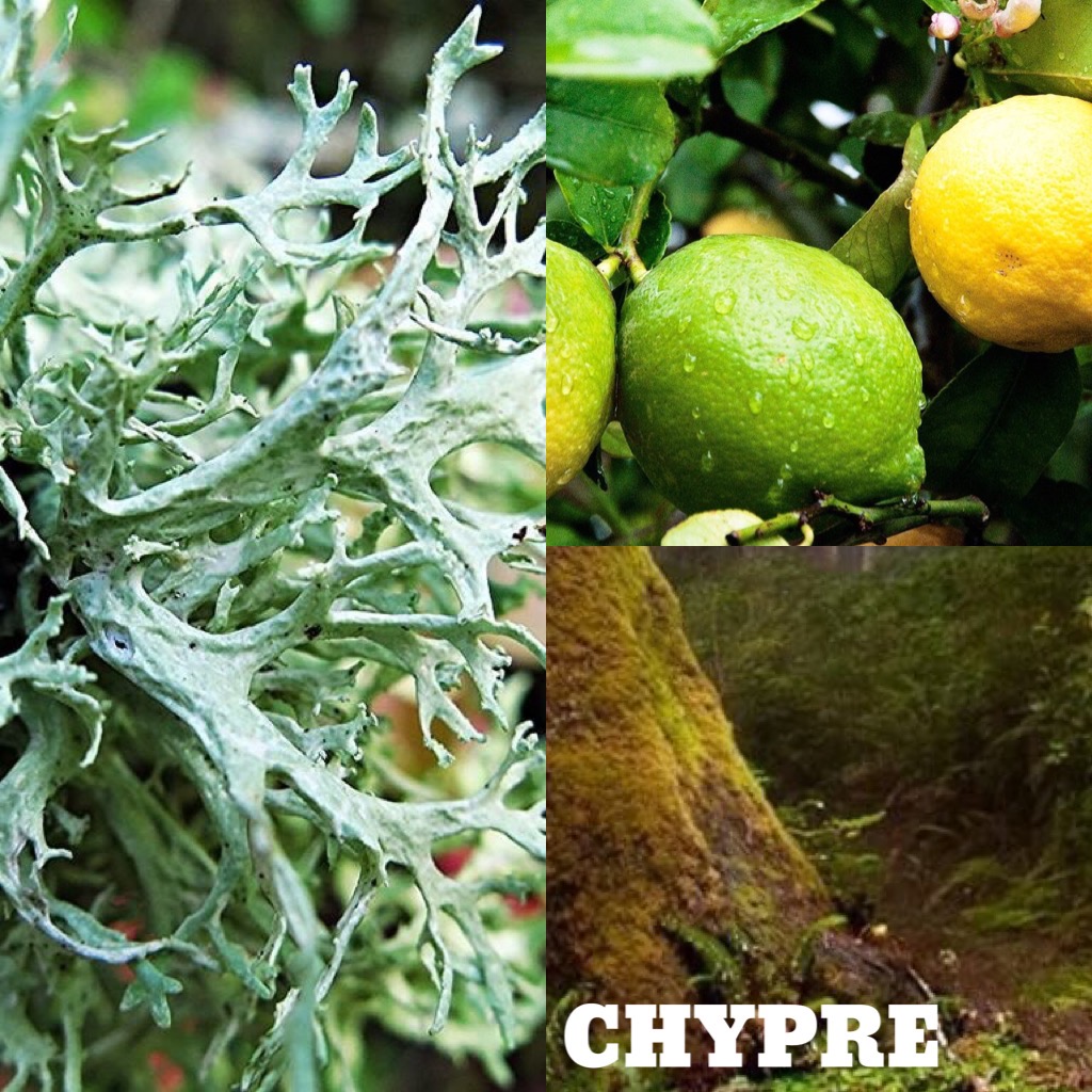 Chypre